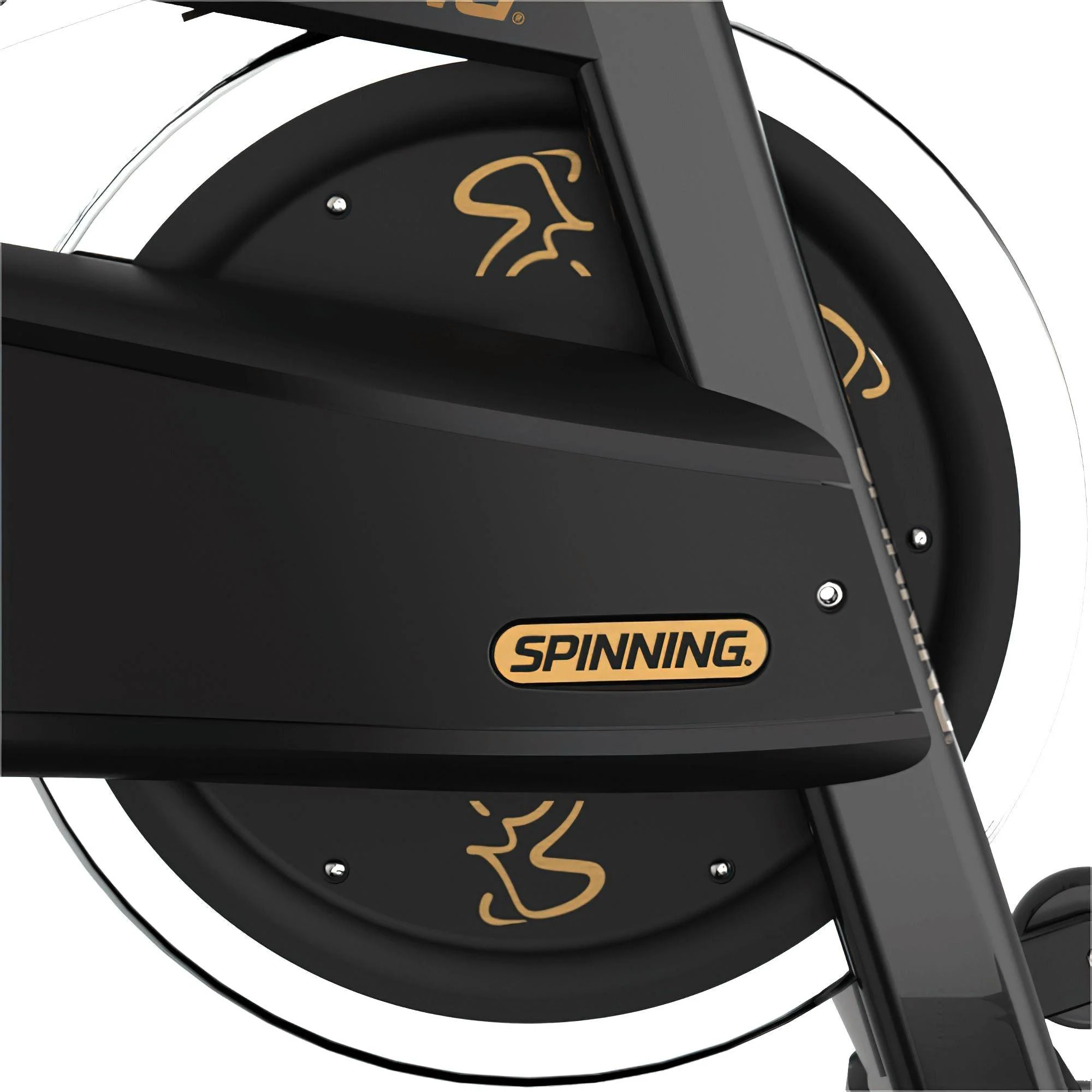 Spinner® PRO Bike - Image 11